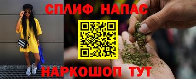 apvp Моздок