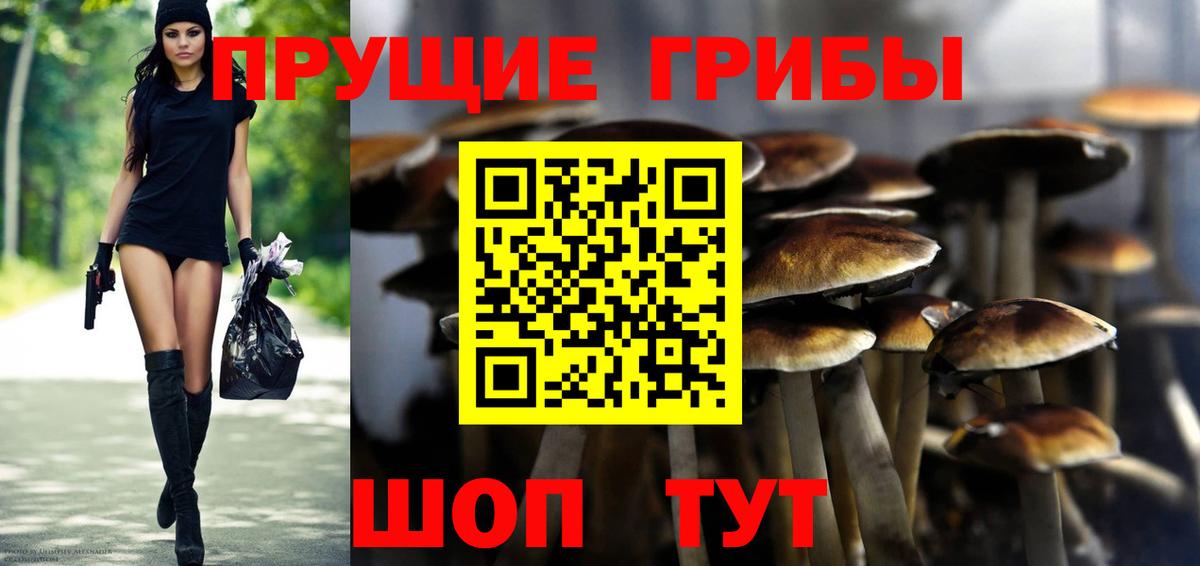 Галлюциногенные грибы мухоморы  Вход с VPN  Королёв 